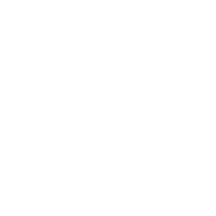 nutseo.com Logo (White)